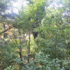 Ap 3 Camere Floreasca/ Renovat/ Parc Verdi thumb 14