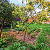 Ocazie UNICA / Casa Saseasca Sura Mare / Teren 906 mp   thumb 14